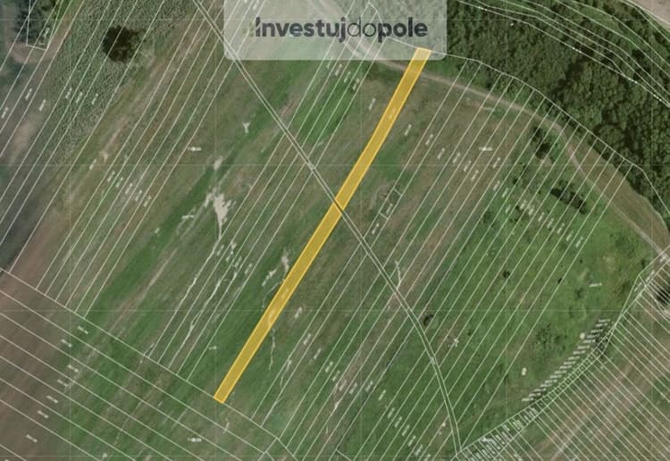 Prodej podílu 1/2 pole 1 713 m², Mikulčice