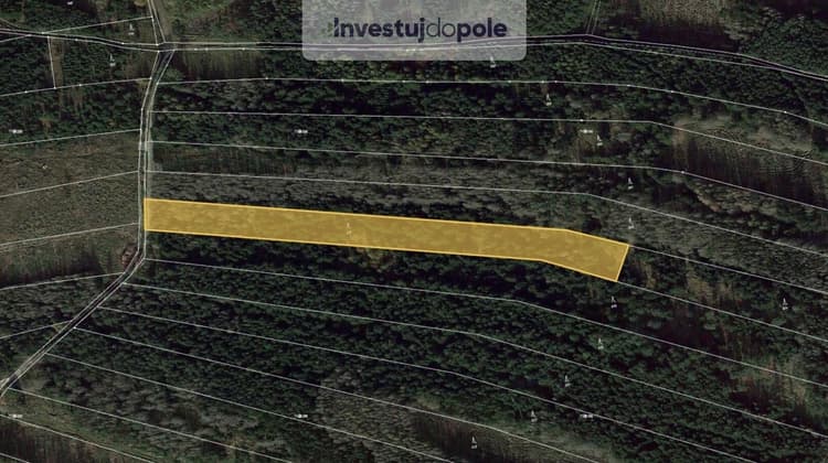 Prodej lesa 7 558 m², Lomy