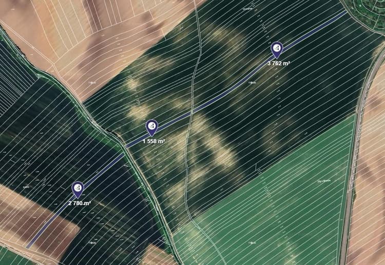 Prodej pole v k.ú. Čejkovice