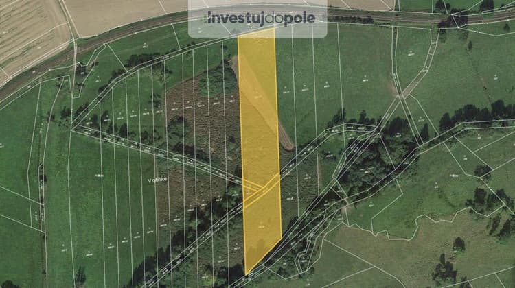 Prodej louky 10 426 m², Běhařov