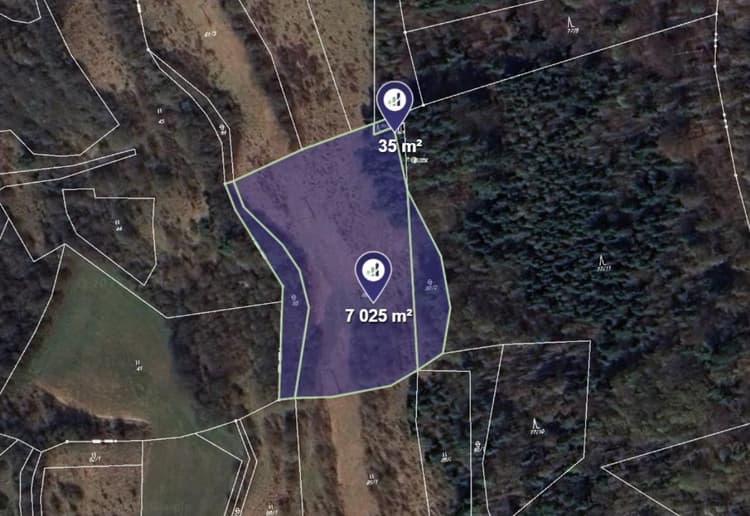 Prodej louky v k.ú. Skřib