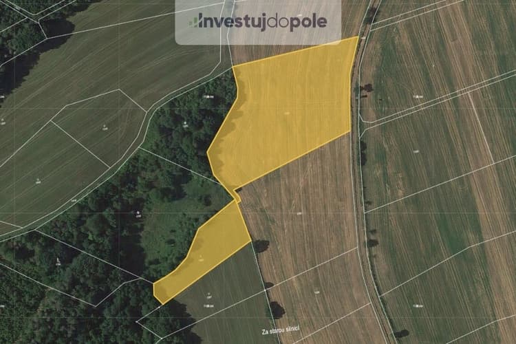 Prodej pole 15 205 m², Úbislavice