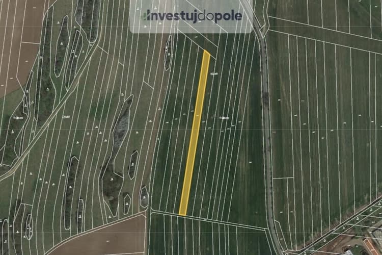 Prodej pole 3 708 m², Ostrov u Macochy