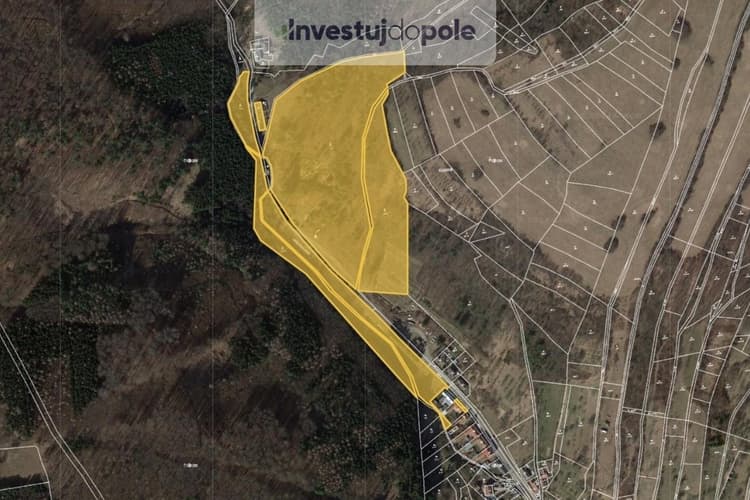 Prodej podílu 1/3 lesa 3 358 m², Jankovice