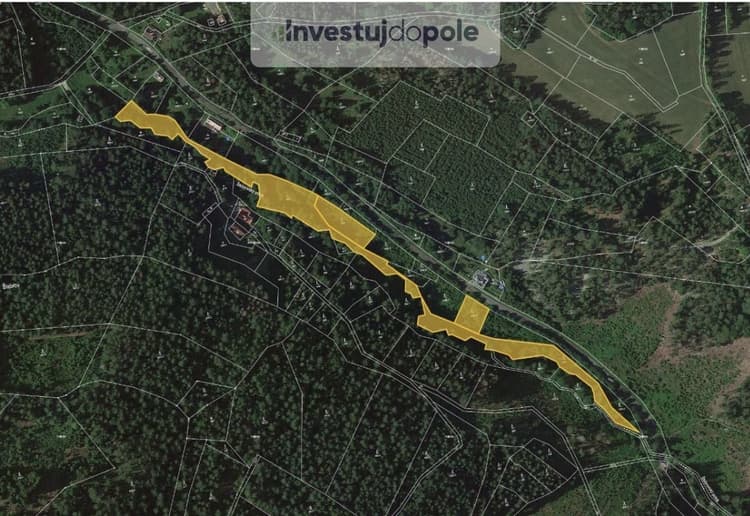 Prodej podílu 1/2 lesa 5 684 m², Železný Brod - Těpeře