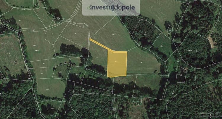 Prodej podílu 1/4 pole 3 138 m², Chanovice