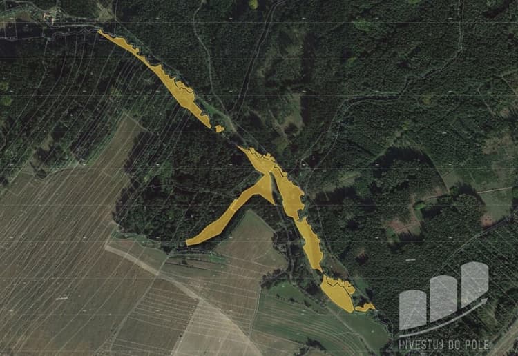 Prodej podílu 1/13 louky 2 538 m², Velká Bíteš