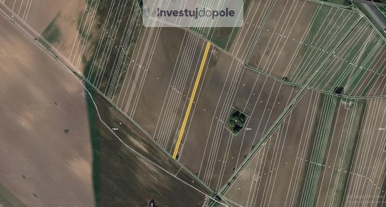 Prodej pole 2 446 m², Kostice