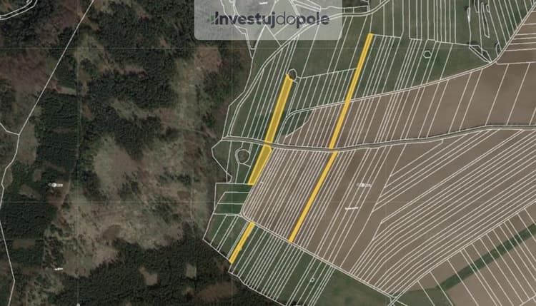 Prodej pole 9 894 m², Ostrov u Macochy
