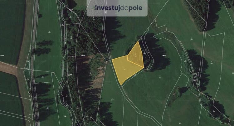 Prodej louky 4 007 m², Stará Paka - Krsmol