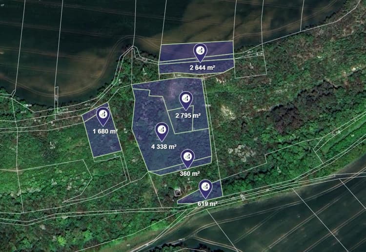 Prodej lesa v k.ú. Břežany nad Ohří