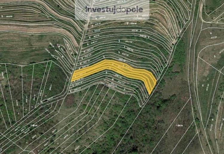 Prodej sadu / vinice 1 606 m², Hustopeče