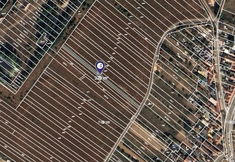 Prodej pole v k.ú. Moravský Písek