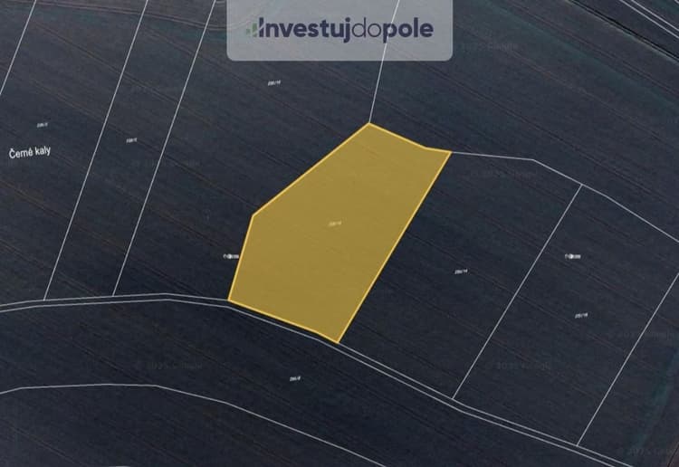 Prodej pole 8 228 m², Bítouchov