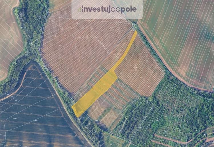 Prodej sadu / vinice 8 175 m², Mělčany