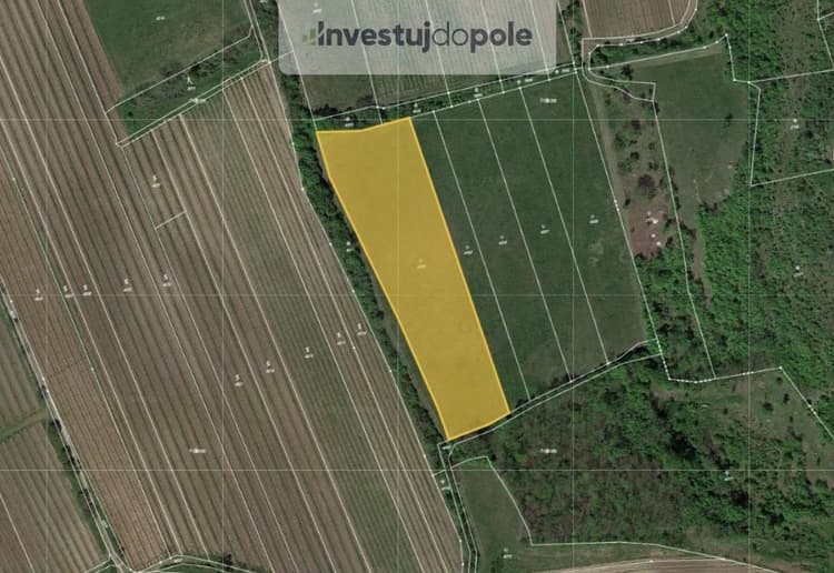 Prodej louky 8 391 m², Horní Věstonice