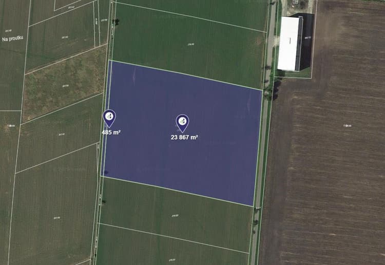 Prodej pole v k.ú. Sýčina