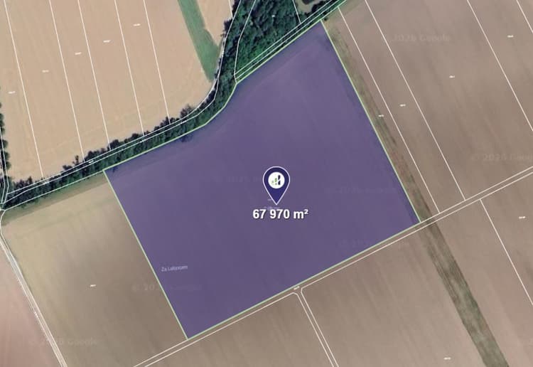 Prodej podílu 1/12 pole 7 631 m², Dolany