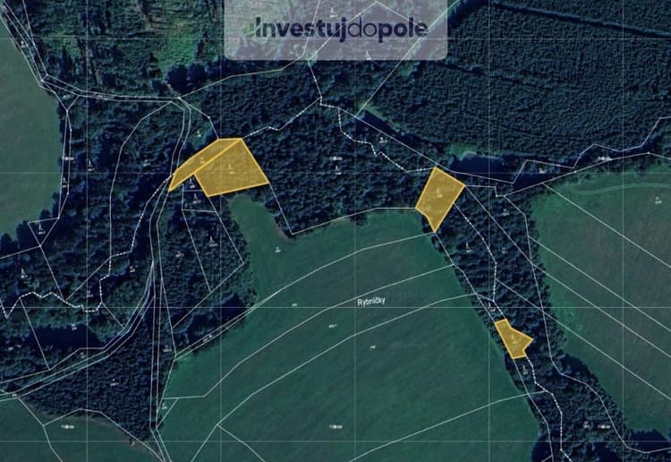 Prodej lesa 2 834 m², Prosíčka - Dolní Prosíčka