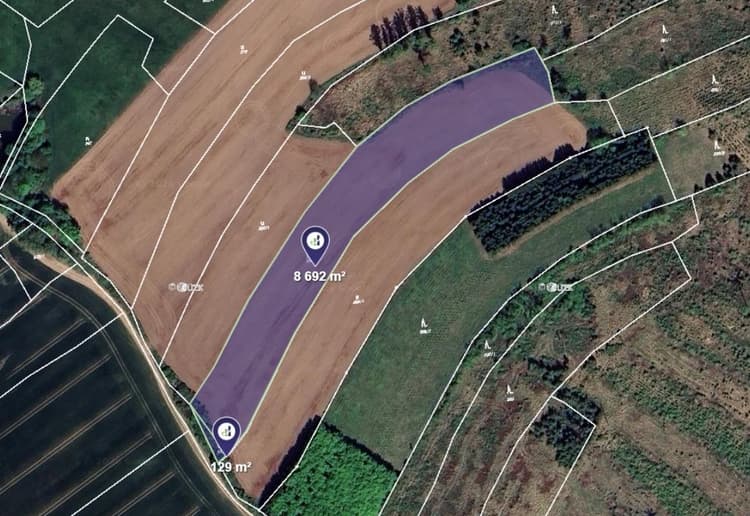 Prodej louky v k.ú. Kadolec