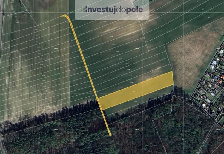 Prodej podílu 1/2 pole 2 901 m², Přelouč - Klenovka