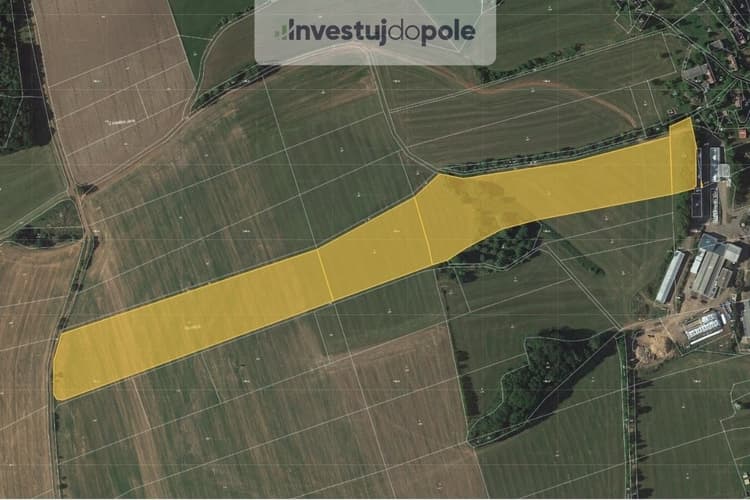 Prodej pole 66 907 m², Úbislavice