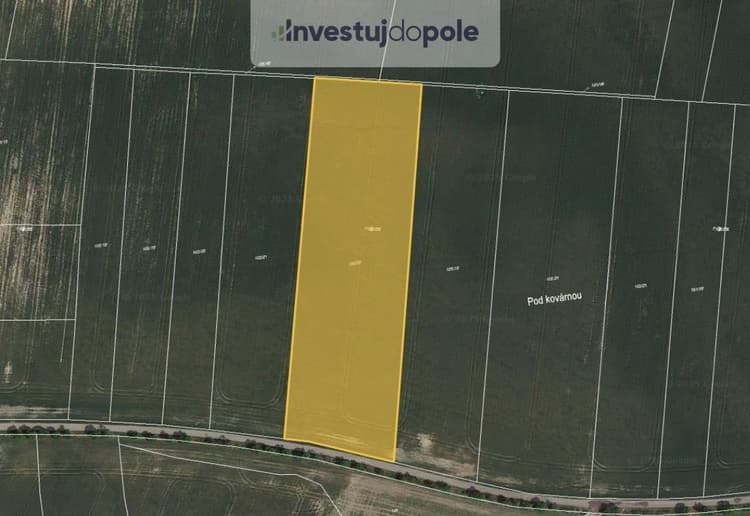 Prodej podílu 1/6 pole 2 123 m², Horní Slivno