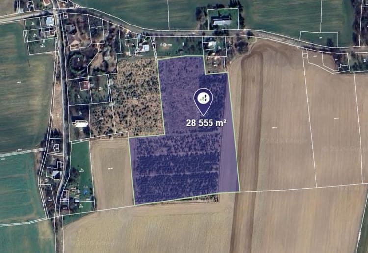 Prodej pole v k.ú. Kolnovice