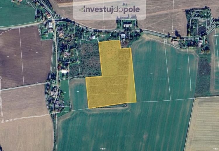 Prodej pole 28 555 m², Kolnovice