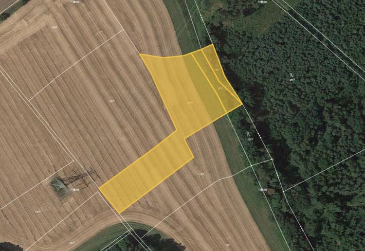 Prodej pole v k.ú. Vlastibořice