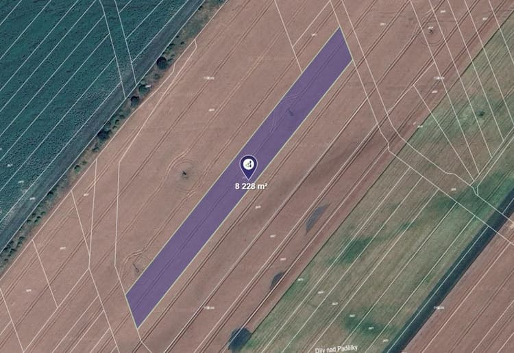 Prodej pole v k.ú. Louka u Ostrohu