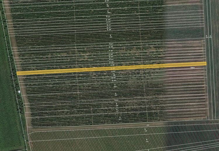 Prodej vinice v k.ú. Lipov