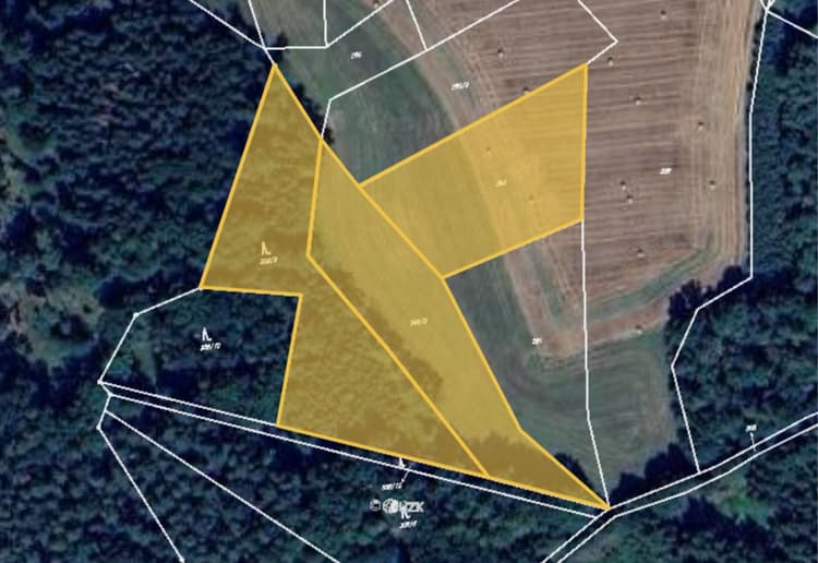 Prodej lesu v k.ú. Klisinec