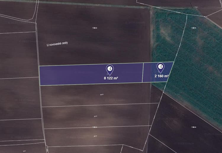 Prodej pole v k.ú. Černíky