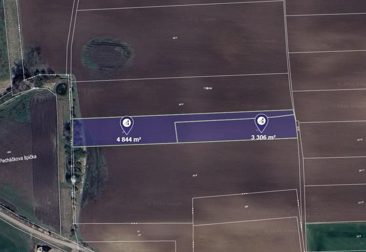Prodej pole v k.ú. Černíky
