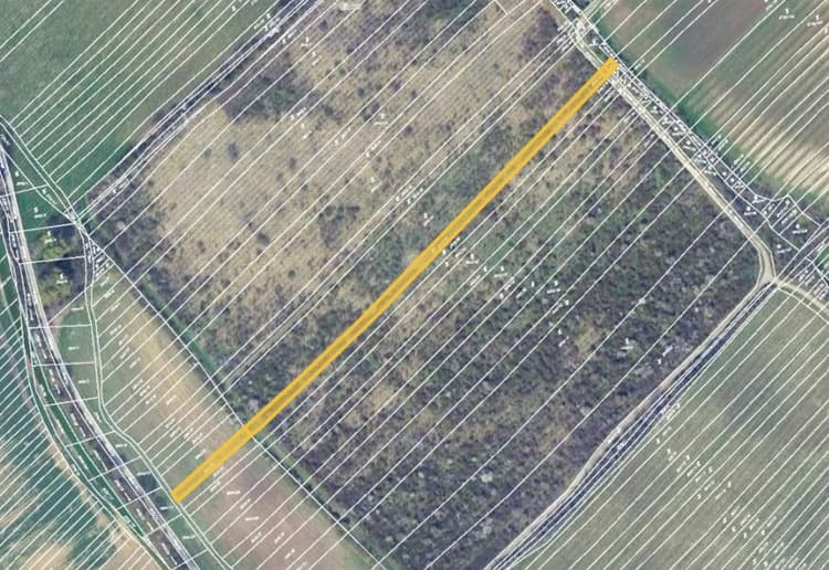 Prodej vinice v k.ú. Klobouky u Brna