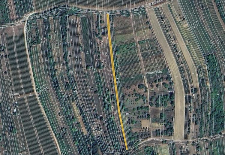 Prodej vinice v k. ú. Bzenec