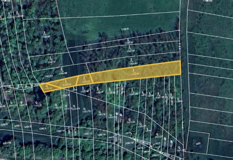 Prodej lesu v k.ú. Morašice