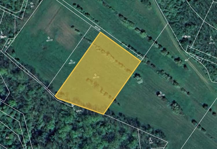 Prodej sadu v k.ú. Němčičky nad Jevišovkou