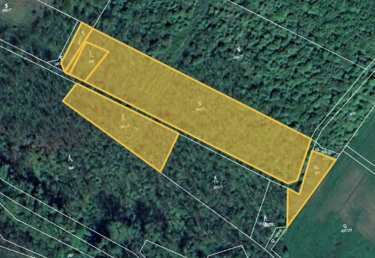 Prodej vinice v k.ú. Němčičky nad Jevišovkou