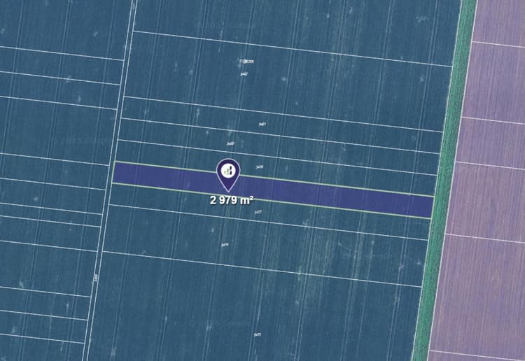 Prodej pole v k.ú. Sokolnice