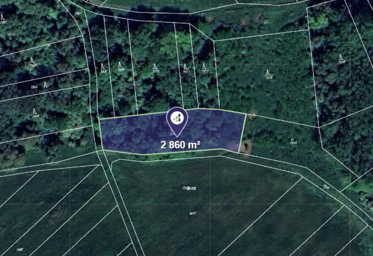 Prodej louky v k.ú. Velké Němčice