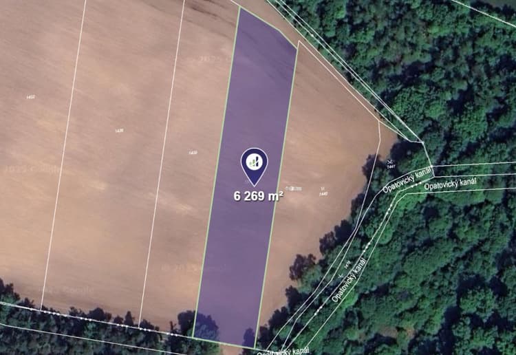 Prodej pole v k.ú. Dolany u Pardubic