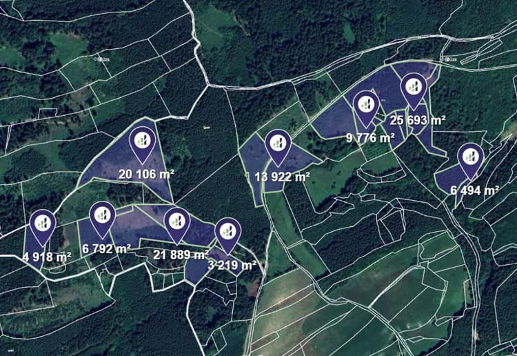 Prodej lesu v k.ú. Valašská Polanka, Prlov a Lužná u Vsetína