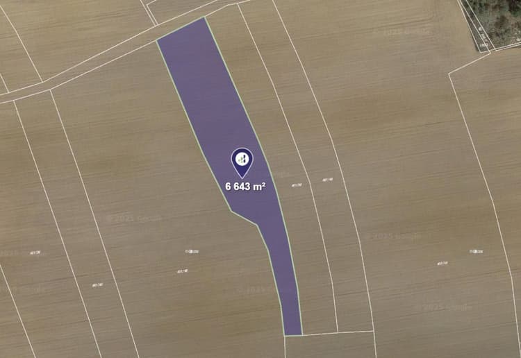 Prodej pole v k.ú. Křesetice