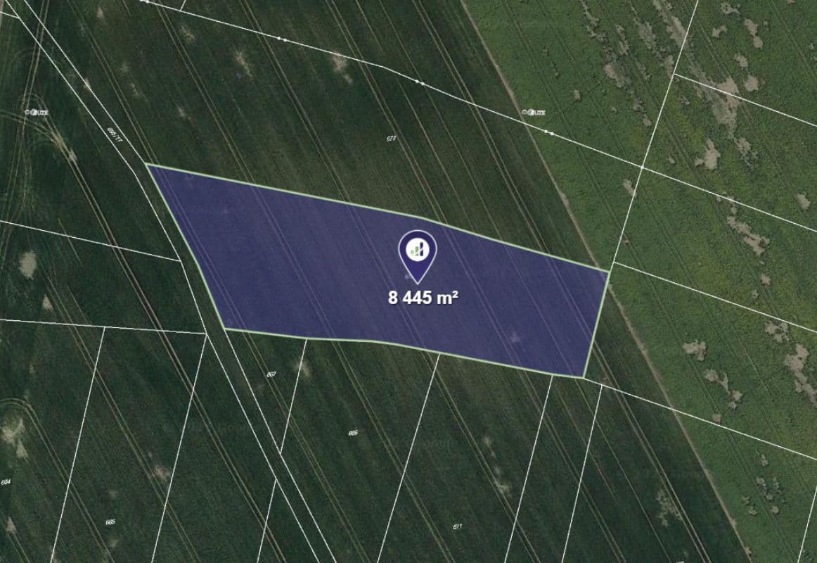 Luštěnice - foto 0