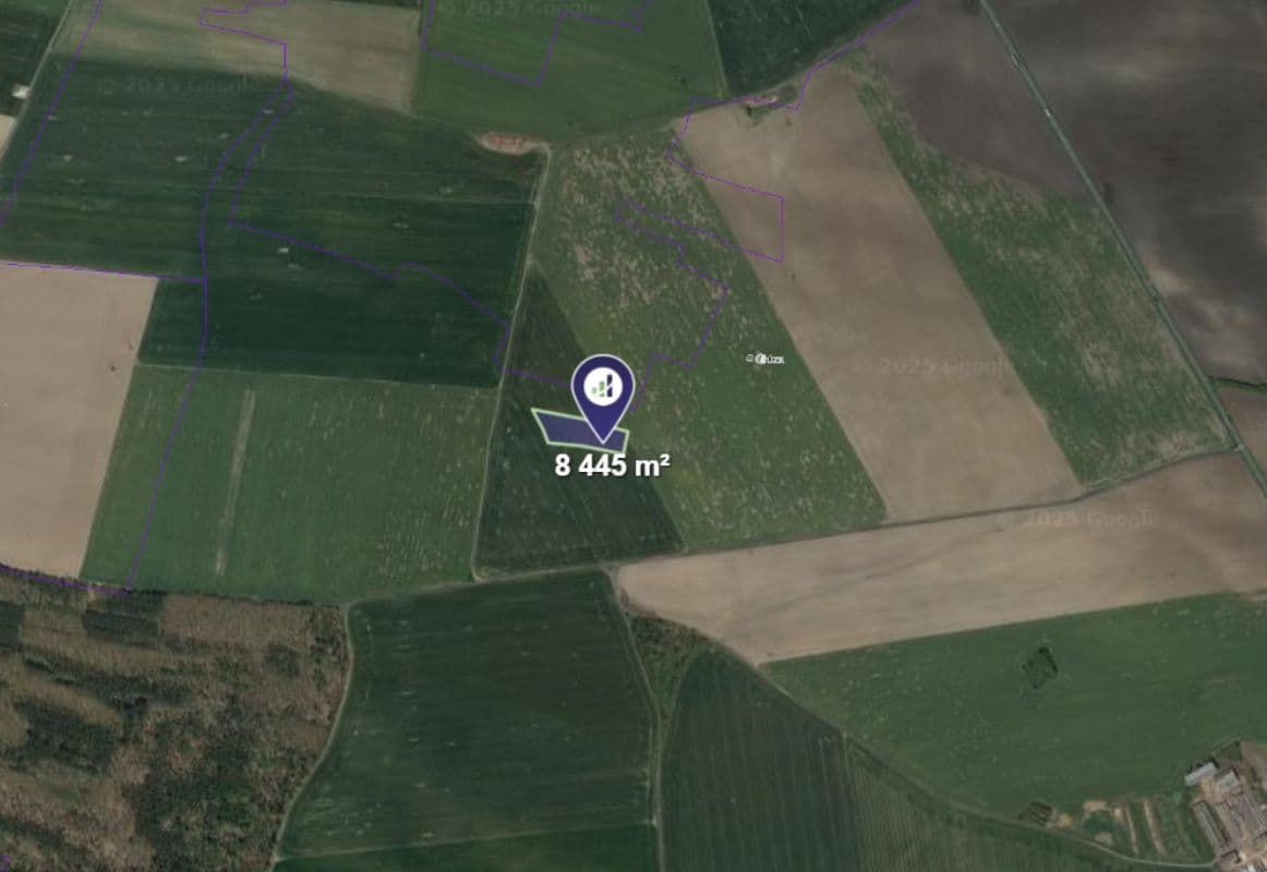 Luštěnice - foto 1