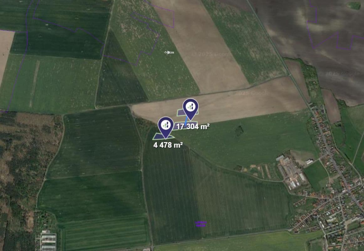 Luštěnice - foto 1