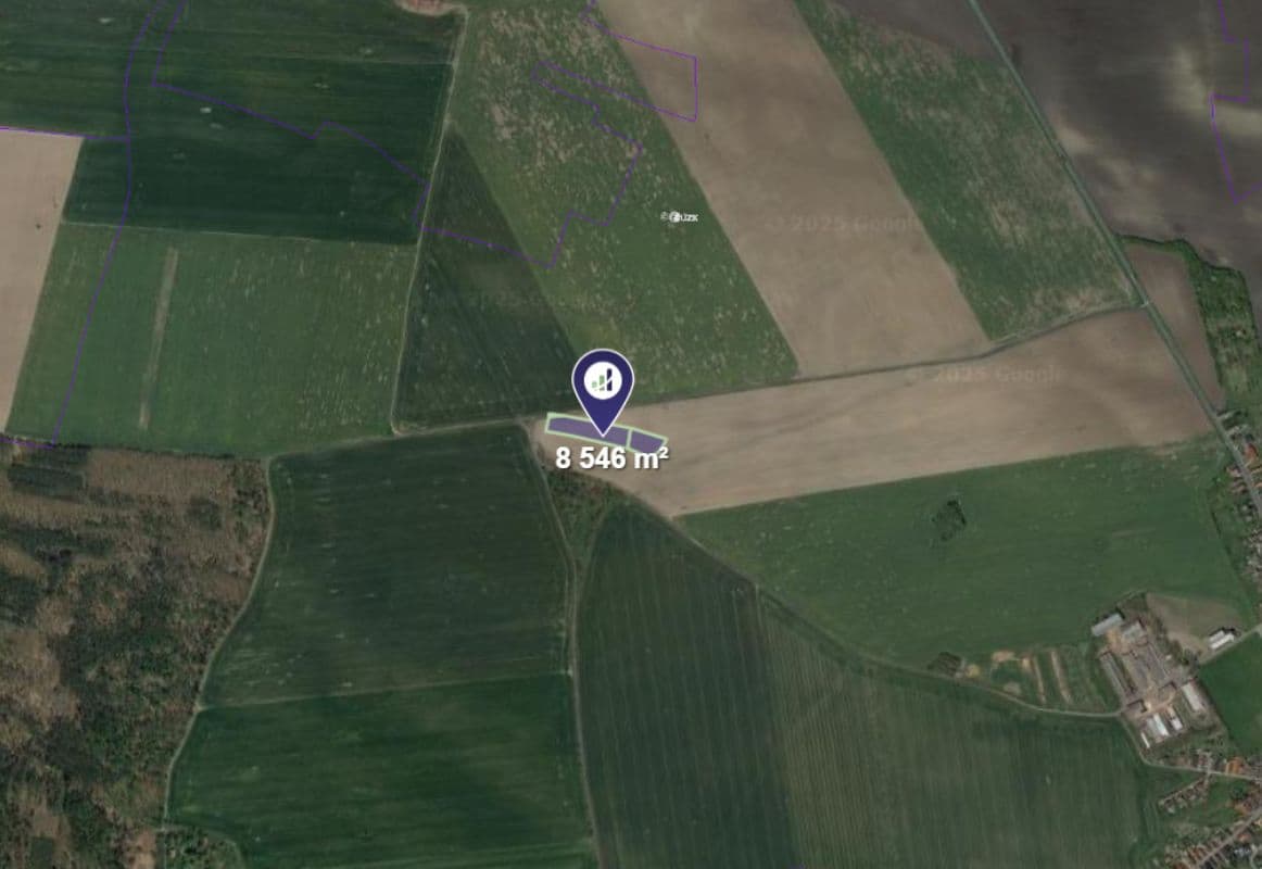 Luštěnice - foto 1