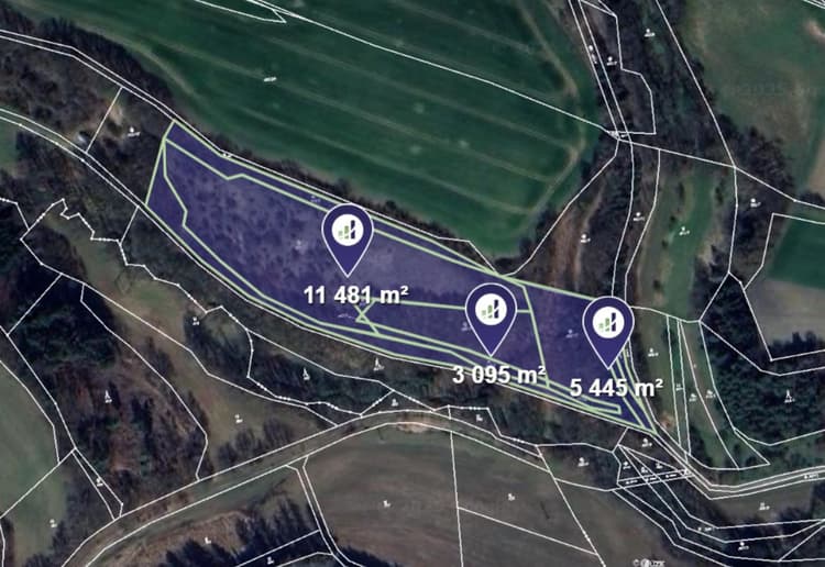 Prodej pozemku v k.ú. Petrov